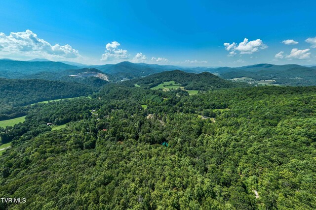 000 Ivywood Ln, Mountain City, TN 37683 - photo 22