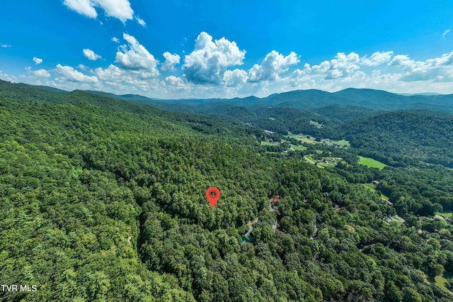 000 Ivywood Ln, Mountain City, TN 37683 - photo 30