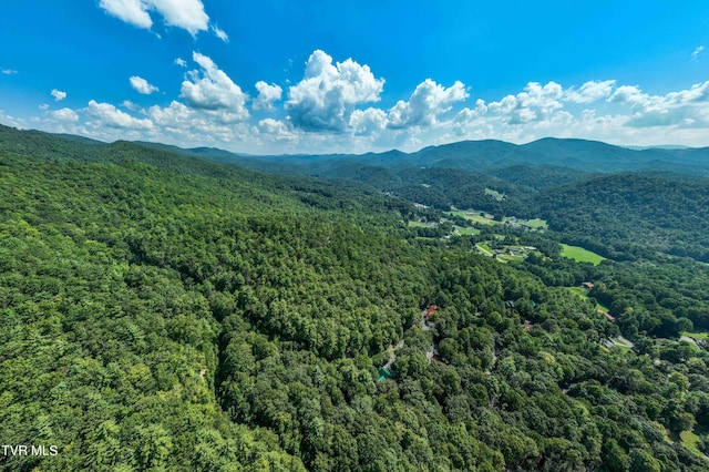 000 Ivywood Ln, Mountain City, TN 37683 - photo 23