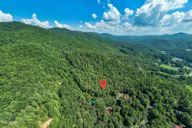 000 Ivywood Ln, Mountain City, TN 37683 - photo 31