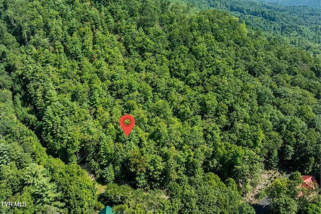 000 Ivywood Ln, Mountain City, TN 37683 - photo 29