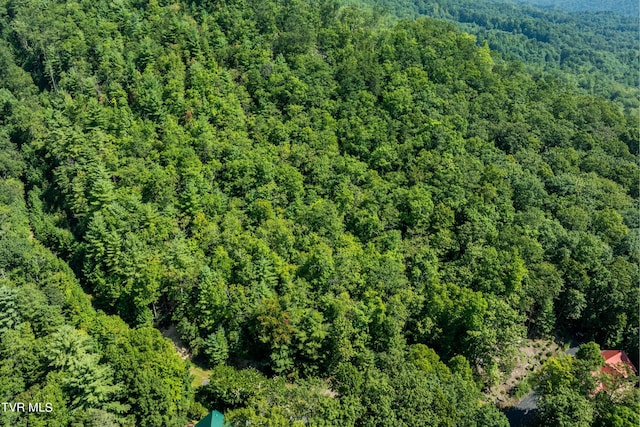 000 Ivywood Ln, Mountain City, TN 37683 - photo 25