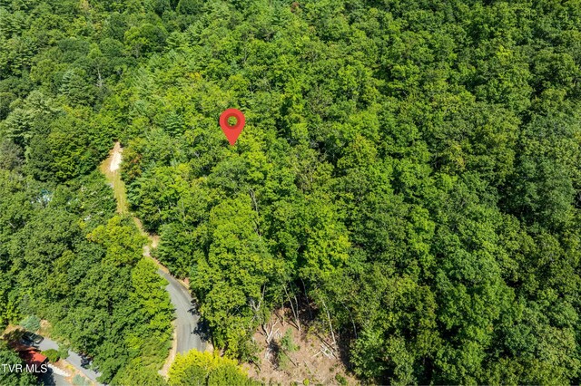 000 Ivywood Ln, Mountain City, TN 37683 - photo 32