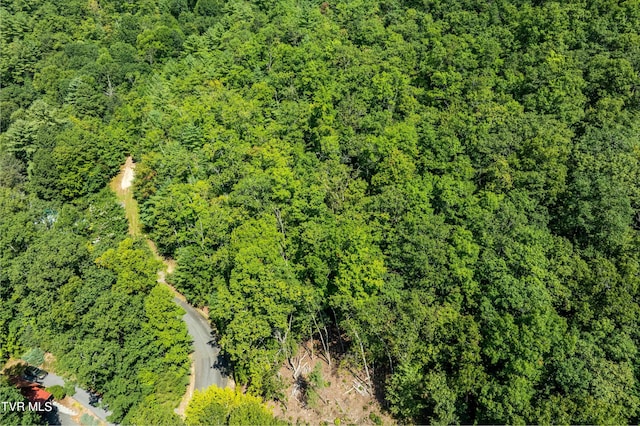 000 Ivywood Ln, Mountain City, TN 37683 - photo 13