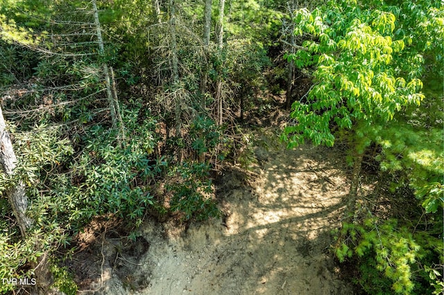 000 Ivywood Ln, Mountain City, TN 37683 - photo 9