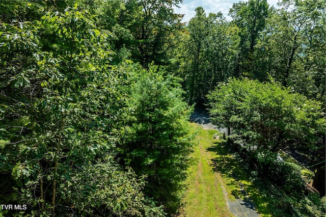 000 Ivywood Ln, Mountain City, TN 37683 - photo 12