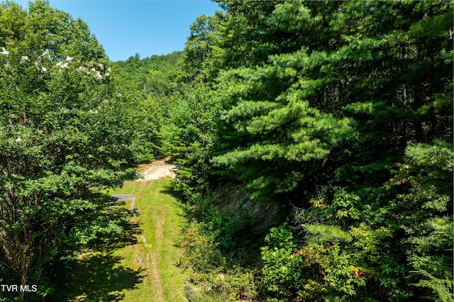 000 Ivywood Ln, Mountain City, TN 37683 - photo 11
