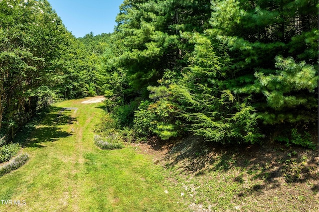 000 Ivywood Ln, Mountain City, TN 37683 - photo 10