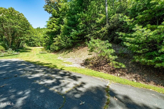 000 Ivywood Ln, Mountain City TN, 37683 land for sale