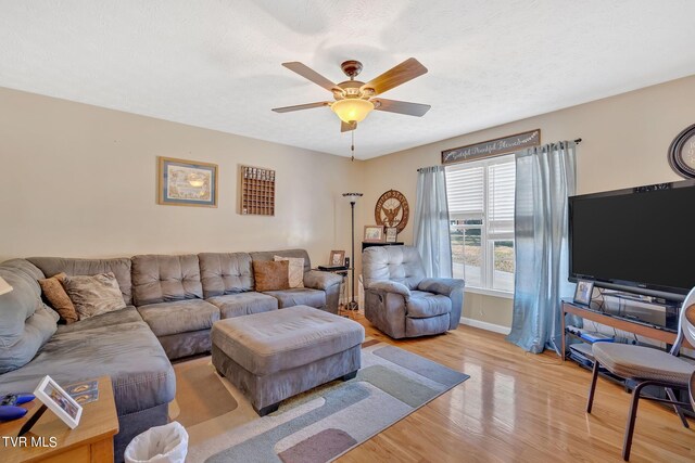 living room featuring ceiling fan, a textured ceiling, and light hardwood / wood-style flooring