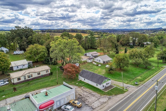 bird's eye view