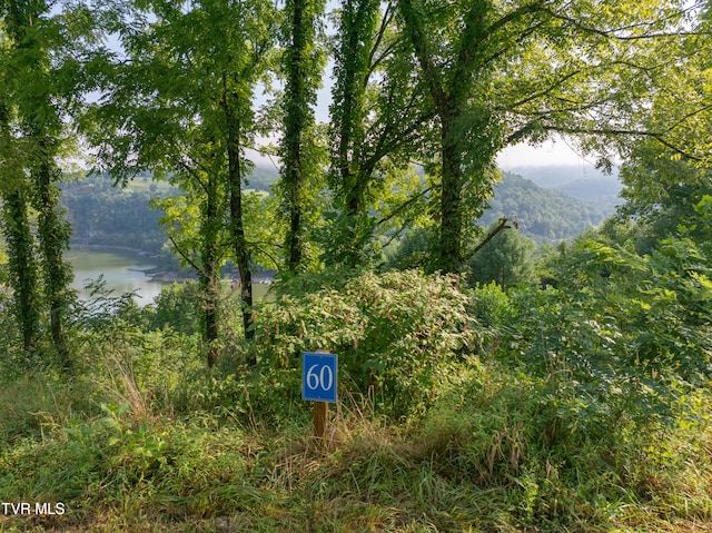 EB60 Cowan Town Rd, Butler, TN 37640 - photo 3