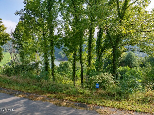 EB60 Cowan Town Rd, Butler, TN 37640 - photo 4