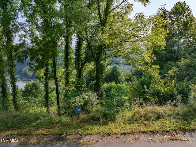 EB60 Cowan Town Rd, Butler, TN 37640 - photo 5