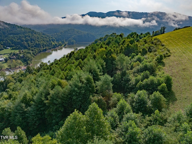 EB60 Cowan Town Rd, Butler, TN 37640 - photo 6