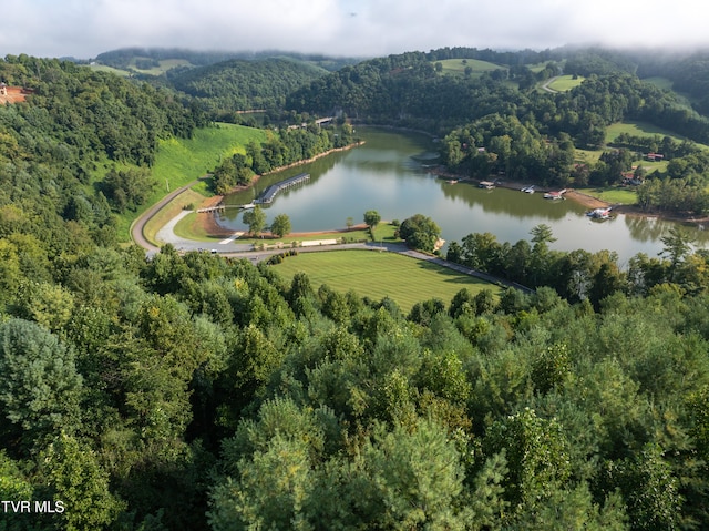 EB60 Cowan Town Rd, Butler, TN 37640 - photo 8