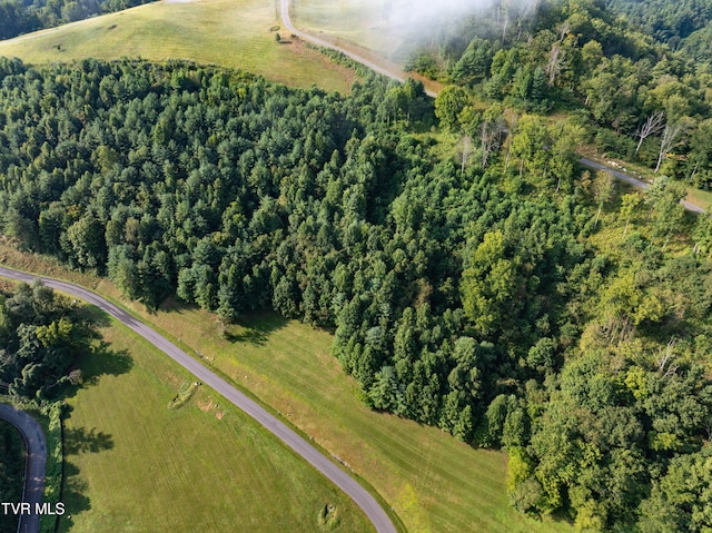 EB60 Cowan Town Rd, Butler, TN 37640 - photo 11
