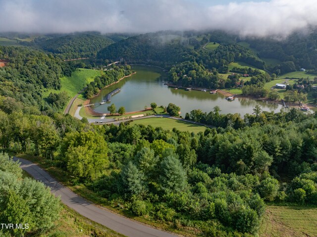 EB60 Cowan Town Rd, Butler, TN 37640 - photo 12