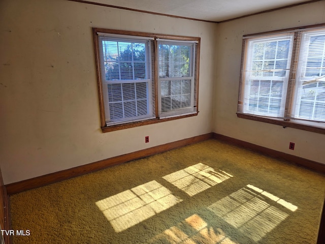 empty room featuring light colored carpet