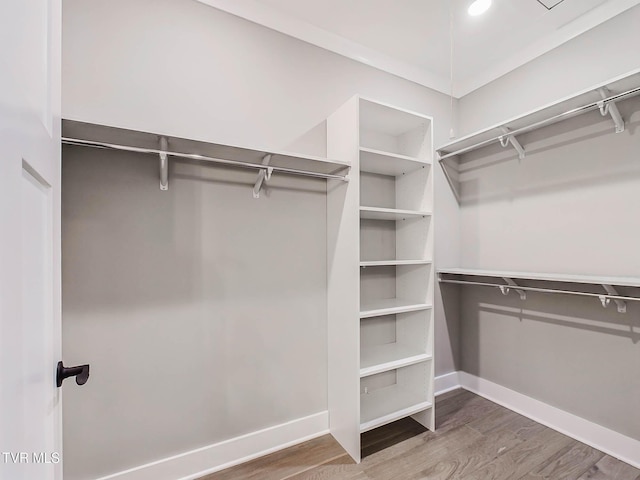 walk in closet with wood-type flooring