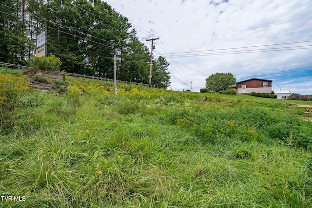166 Burley Shouns Ln, Mountain City, TN 37683 - photo 13