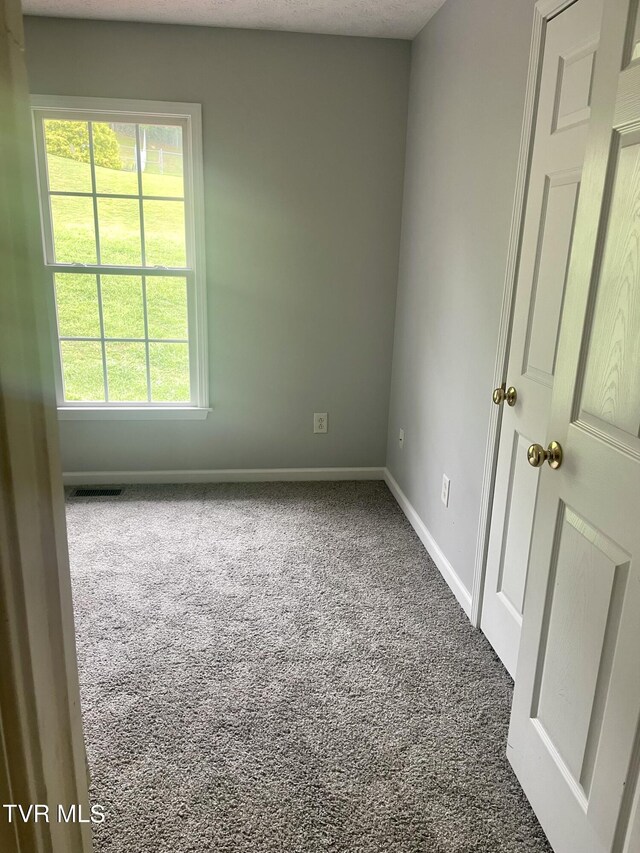 carpeted spare room with a wealth of natural light