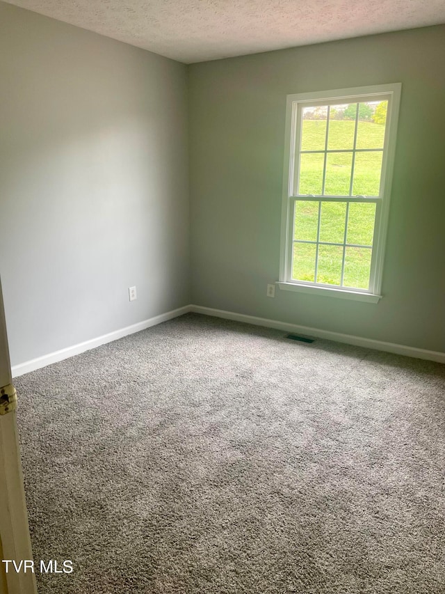 carpeted empty room with a textured ceiling