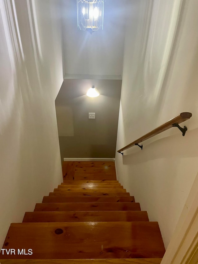 staircase with hardwood / wood-style floors