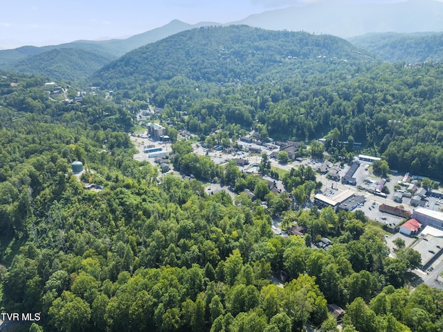 aerial view featuring a mountain view