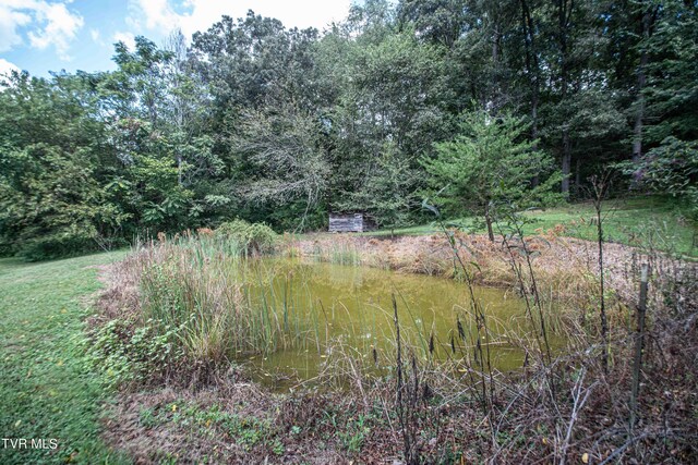 view of yard featuring a water view