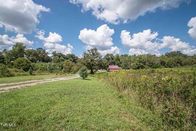 view of yard with a rural view