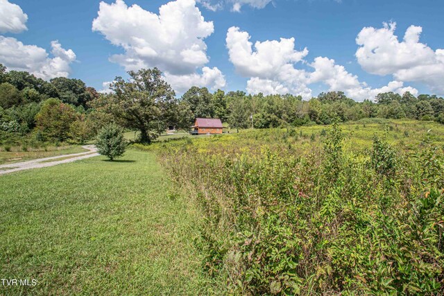 view of yard with a rural view