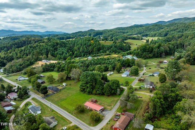 birds eye view of property with a mountain view