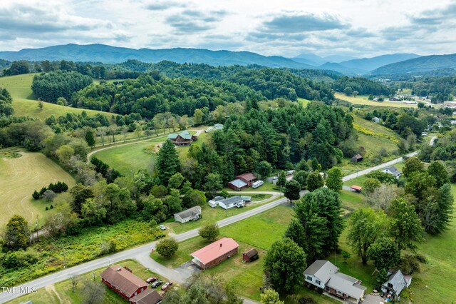 birds eye view of property featuring a mountain view