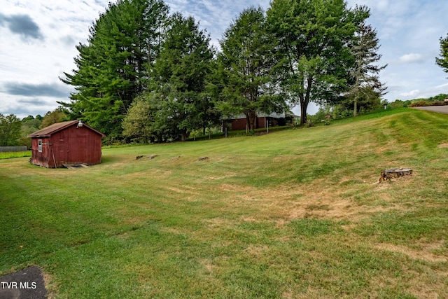 view of yard with a storage shed