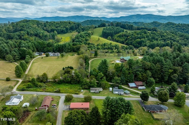 birds eye view of property with a mountain view