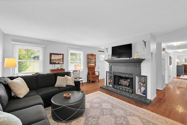 living room with a textured ceiling and hardwood / wood-style flooring