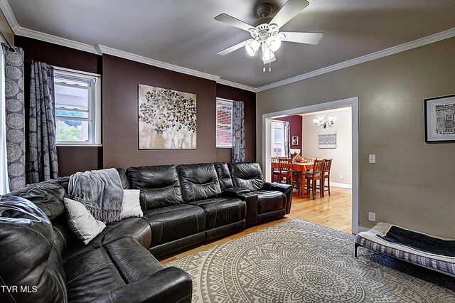 living room with ceiling fan with notable chandelier, light hardwood / wood-style floors, and crown molding