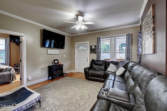 living room with ornamental molding, hardwood / wood-style floors, and ceiling fan