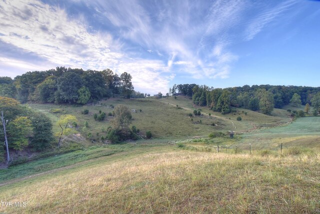 view of landscape with a rural view