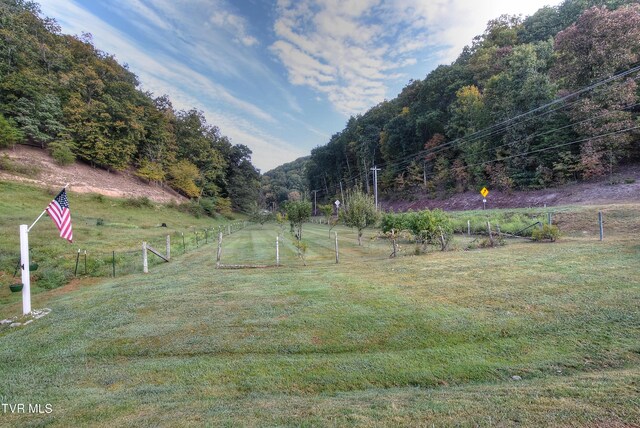 view of yard with a rural view