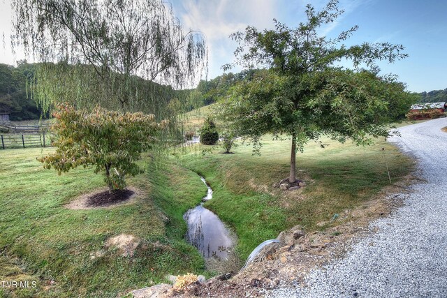 view of yard featuring a mountain view