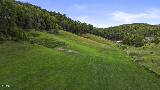 exterior space featuring a rural view and a lawn