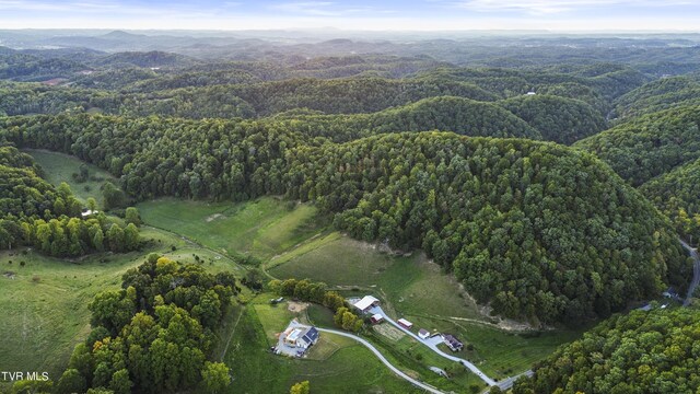 drone / aerial view