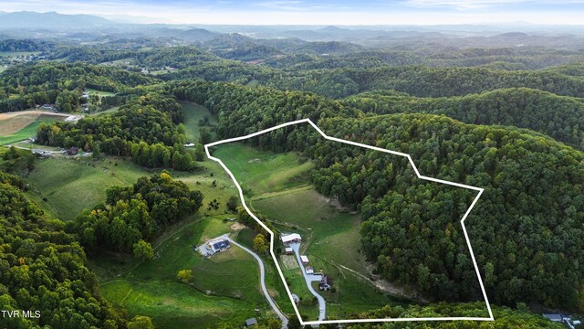 drone / aerial view featuring a mountain view