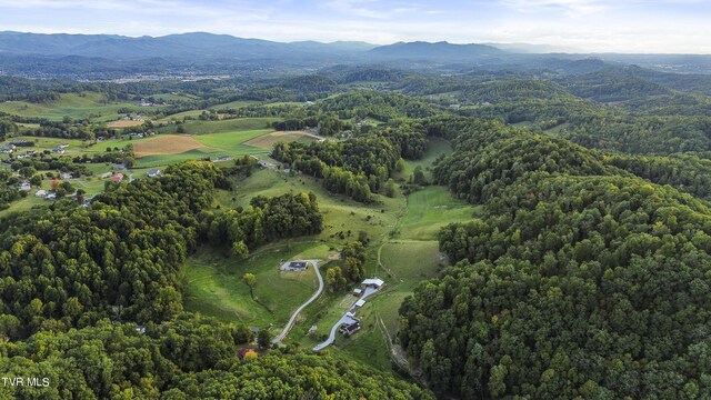 aerial view with a mountain view