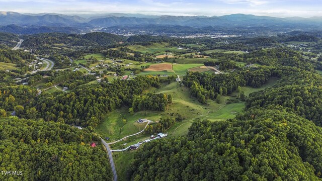 aerial view with a mountain view