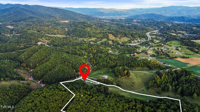 bird's eye view with a mountain view