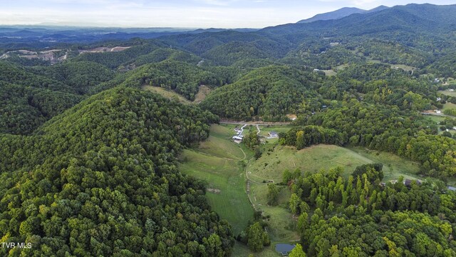 aerial view with a mountain view