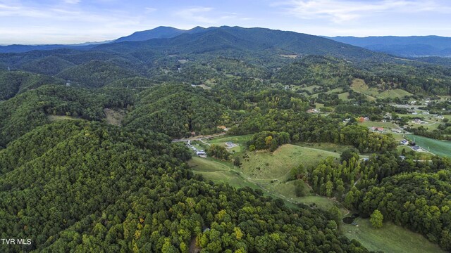 aerial view featuring a mountain view